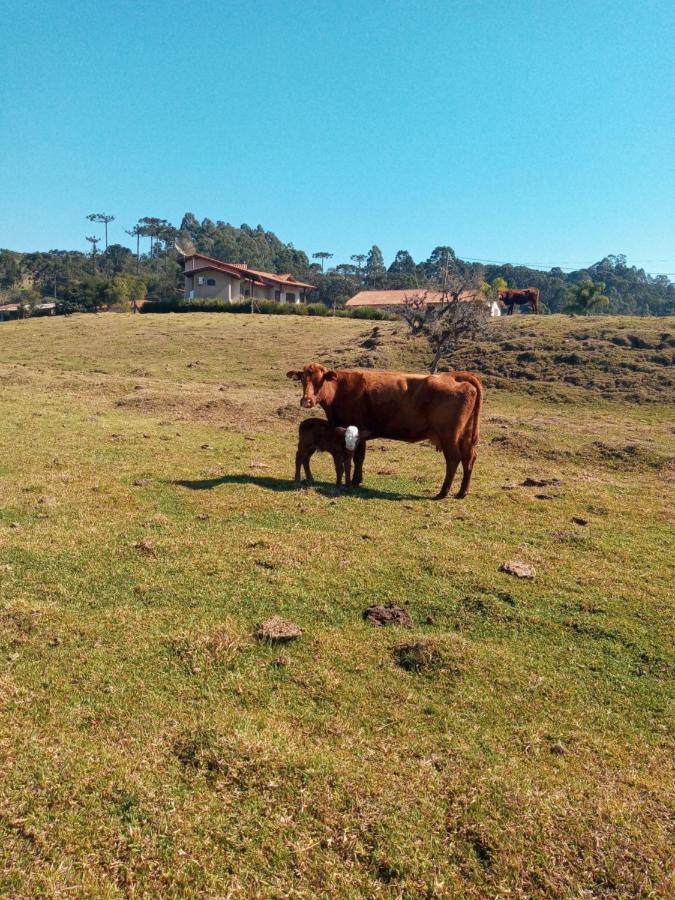 Pousada Landhaus Urubici Exteriér fotografie